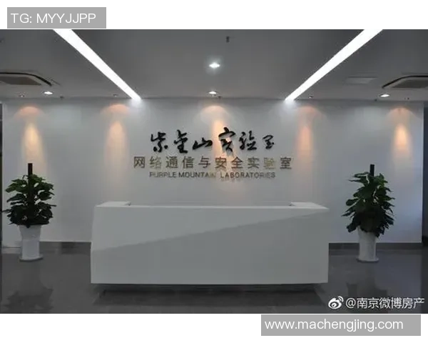 南京乒乓球队重磅革新策略解析全面提升盯防能力的全新路径