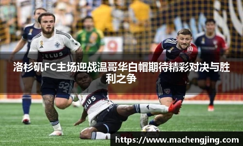 江南JNSport体育