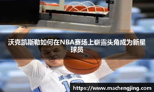jn江南·体育登录入口