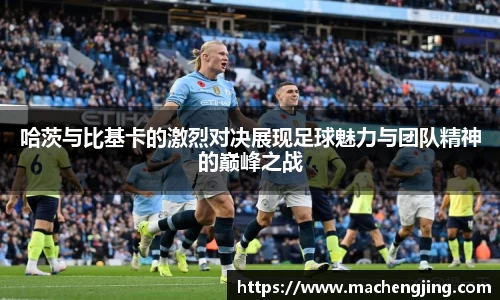 jn江南·体育登录入口