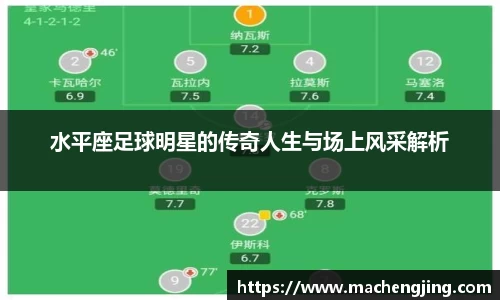 江南JNSport体育