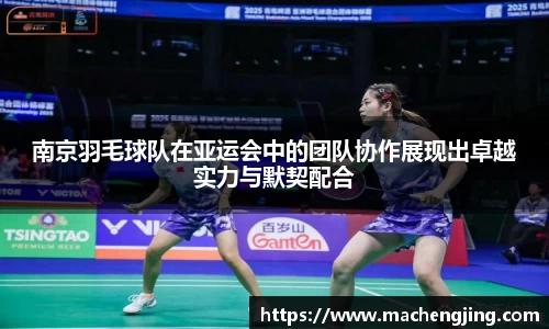 南京羽毛球队在亚运会中的团队协作展现出卓越实力与默契配合